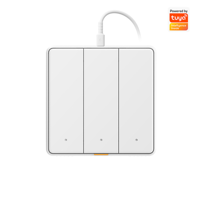 Tuya WIFI টাচ সুইচ টাইপ সি টাইমিং ভয়েস অ্যাপ্লিকেশন আলেক্সা, গুগল হোম RF433 স্মার্ট ইইউ ওয়াল লাইট বোতাম সুইচ সহ স্মার্ট হোম